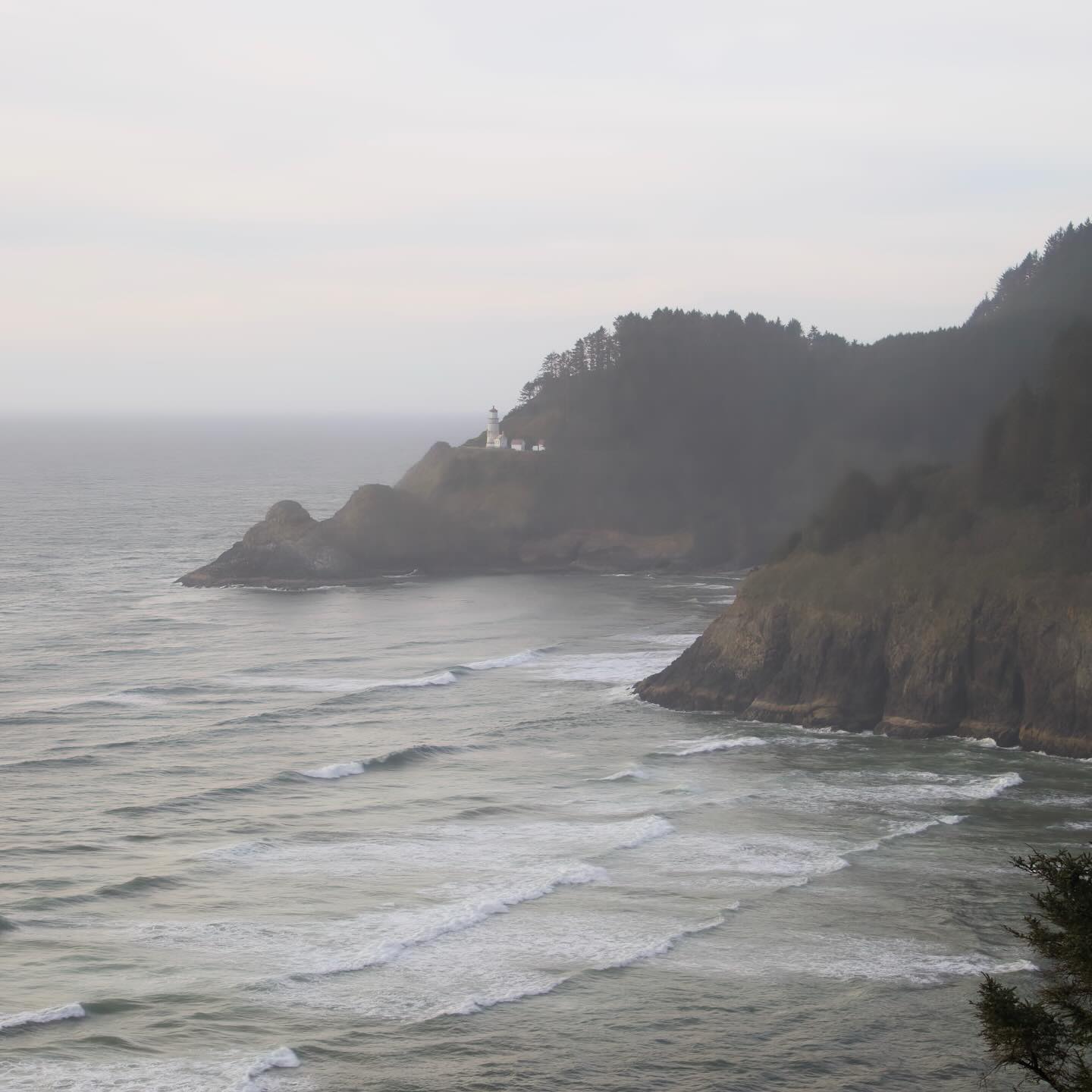 Heceta Head Lighthouse image