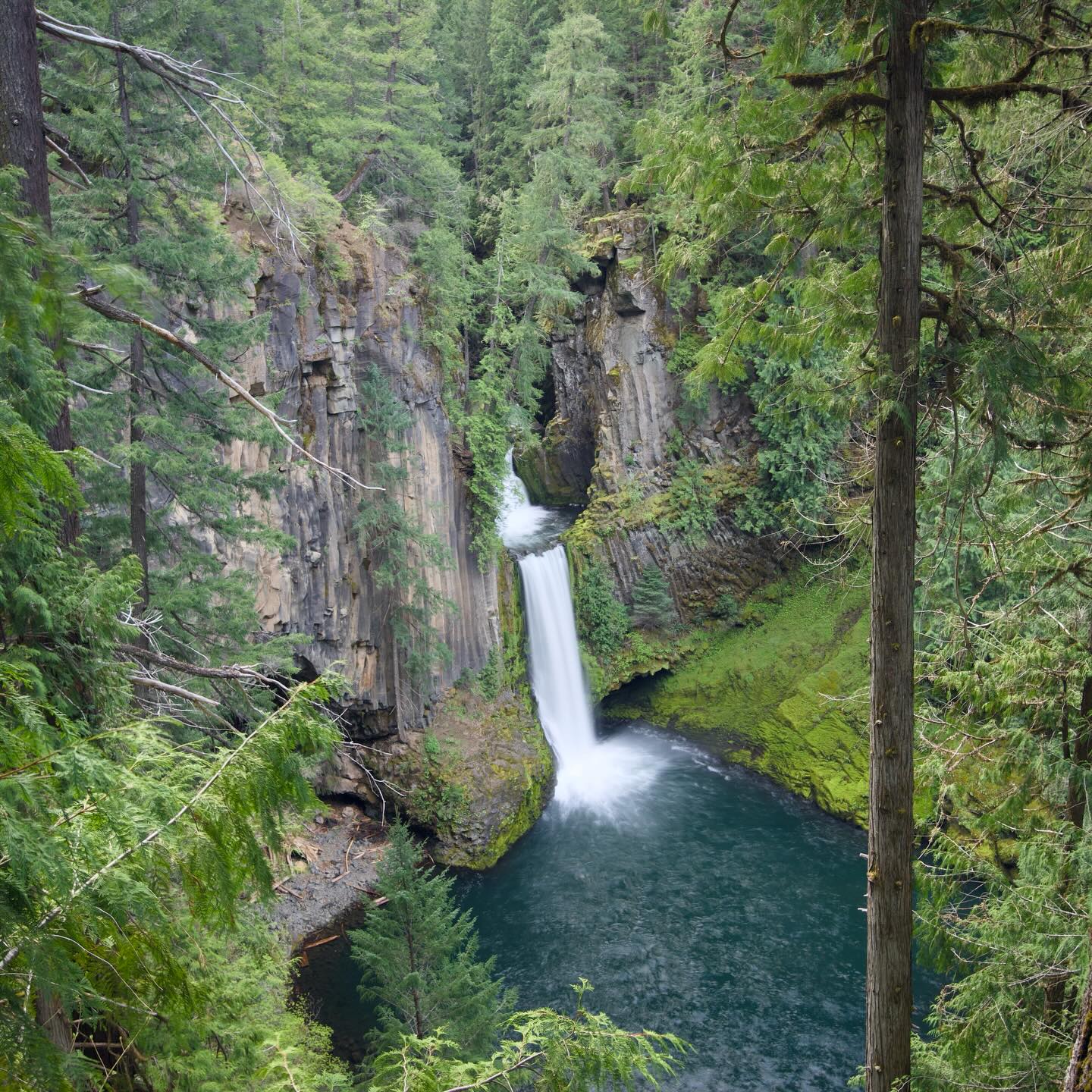 Toketee Falls image
