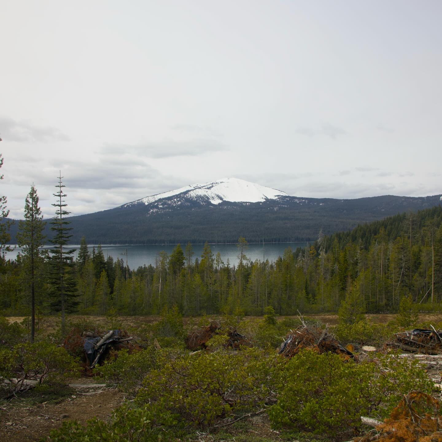 Diamond Lake, Oregon image